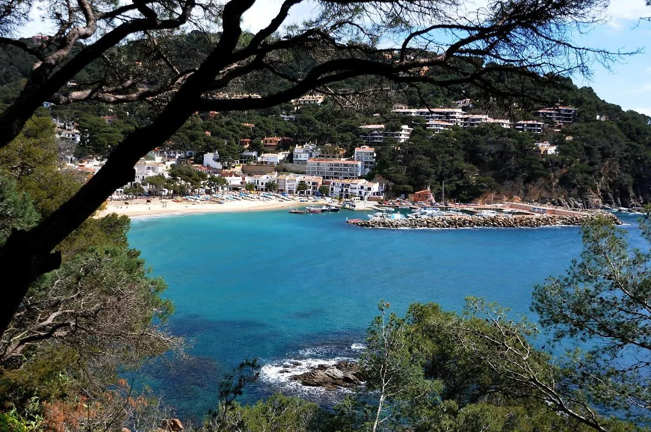 Capdevila 9 Llafranc